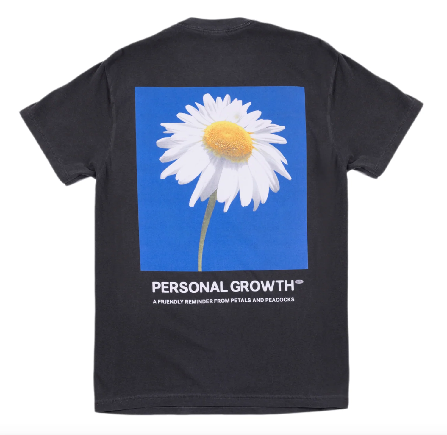 PETALS & PEACOCKS "PERSONAL GROWTH" TEE (VINTAGE BLACK)c